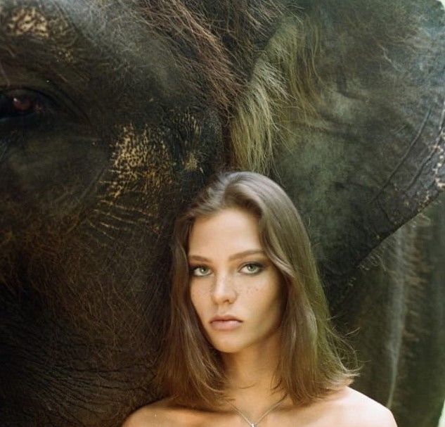 podiumnews.com-Polisi Mintai Keterangan Model Asal Rusia Terkait Postingan Videonya di Medsos